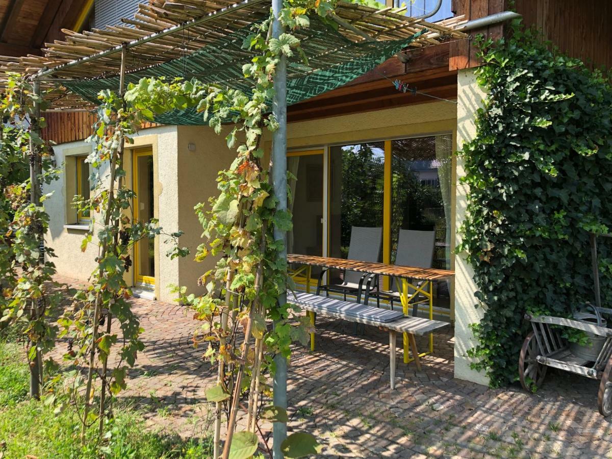 Gut Muellerleile Apartamento Gengenbach Exterior foto